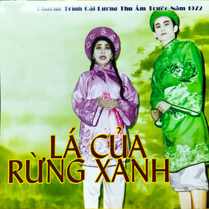 Lá Của Rừng Xanh 3