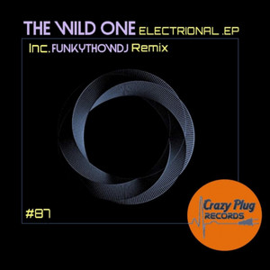 Electrional (Funkythowdj Remix)