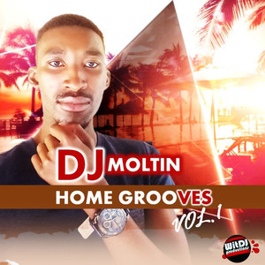 Home Grooves, Vol. 1
