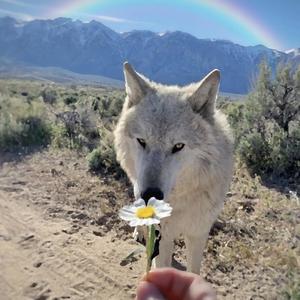 MOST HIGH (feat. Jadakiss & Xzibit) (Explicit)