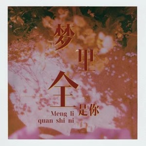 梦里全是你