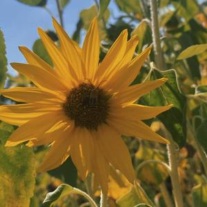 your eyes are paradise (sped up)