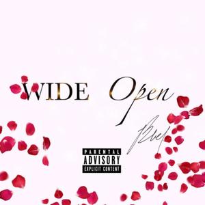 Wide Open (original)