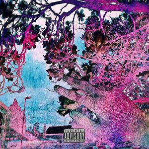 NOTICE ME (feat. Bijuu) (Explicit)