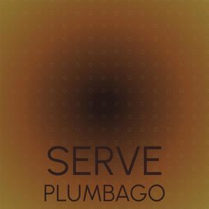 Serve Plumbago