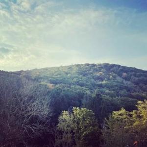 through my head (feat. GL0RY & Black Kray) (Explicit)