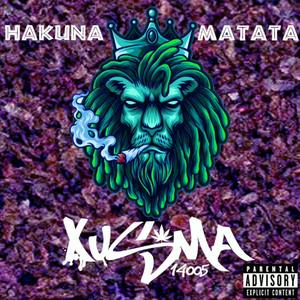 Hakuna matata (remix)