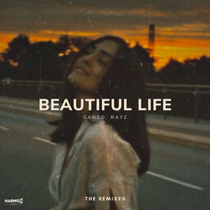 Beautiful Life (Bonz Remix)