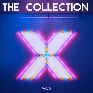 The Collection X (Vol. 6)