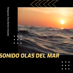 Sonido Olas Del Mar (Relajación, Para Dormir, Estudiar)