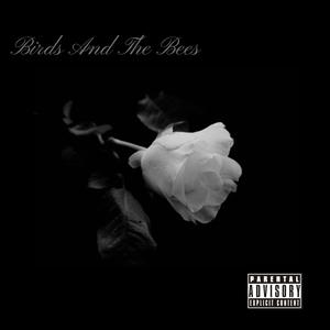Birds And The Bees (Radio Edit)