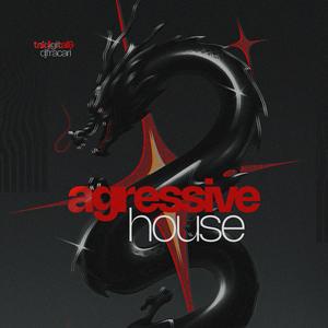 MEGA AGRESSIVE HOUSE (feat. TAIDigital) (Explicit)