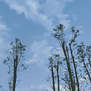 胜券在握(prod by weloveziho)