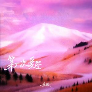 第一次爱你 (和声伴奏)