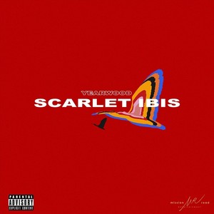 Scarlet Ibis (Explicit)