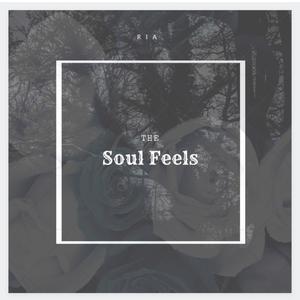 The Soul Feels (Explicit)