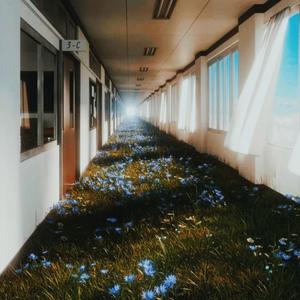 Went West x Mrs Magic