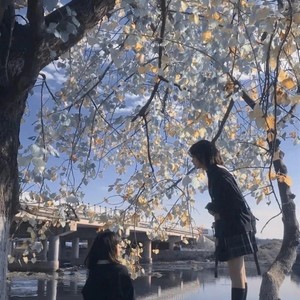 说好不哭也杀回来了