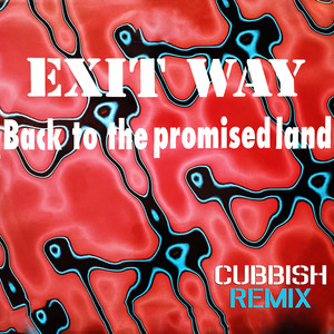 Back To The Promised Land (Cubbish Edit)