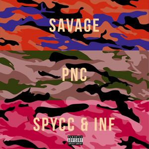 Camouflage (Remix|Explicit)