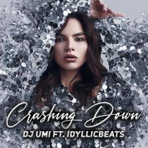 Crashing Down(feat. Idyllicbeats)