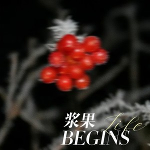浆果-茉语