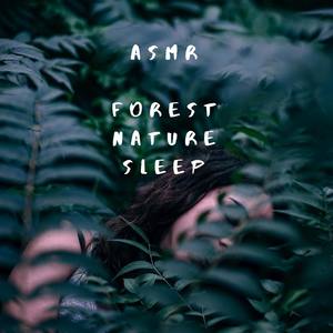 ASMR Birds Singing for Natural Sleep, Rest and Relaxation. Loopable for All Night.