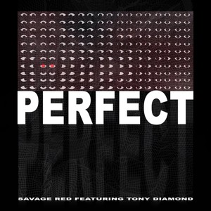 Perfect(feat. Ton¥ Diamond) (Explicit)