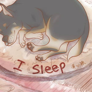 I Sleep