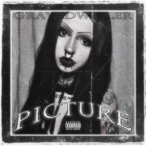 PICTURE (Explicit)