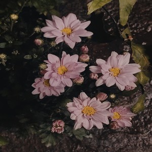 Bumabalik (Radio Mix)