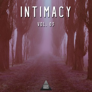 Intimacy, Vol. 03