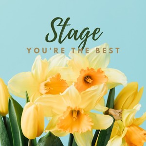 Stage (伴奏)