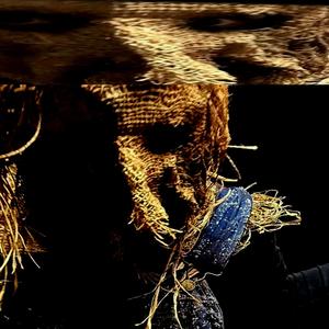 trip like i do (Explicit)