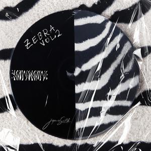 ZEBRA, Vol. 2