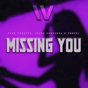 Missing You (Original Mix)