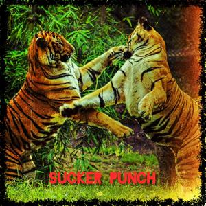 Sucker Punch(feat. Nilla) (Explicit)