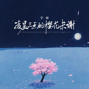 凌晨三点的樱花未谢