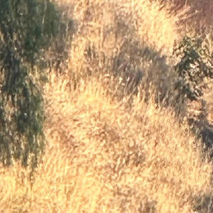 eyes (feat. Lucarius & Zona)