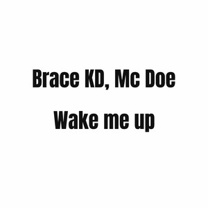 Wake me up (Acoustic)