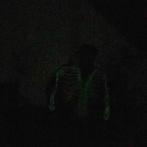 freak show (Explicit)