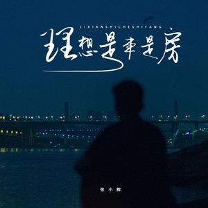理想是车是房