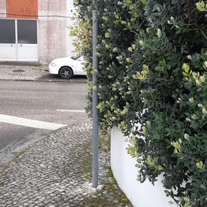 shy(feat. hiraeth)
