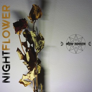 Night Flower