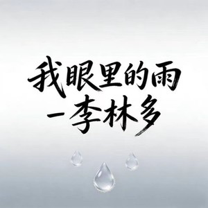 李林多 - 我眼里的雨 (DJ彭锐版)