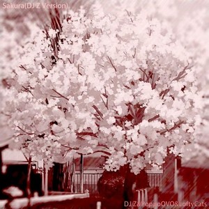 Sakura (PoppoOVO Versio)
