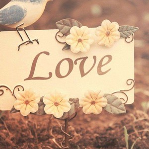 满天星辰不及你