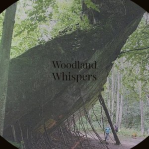 Woodland Whispers