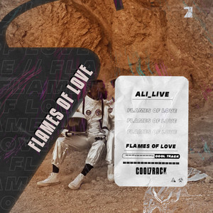 Flames of Love (Extended Mix)