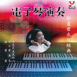 丝丝小雨 (電子琴演奏)封面